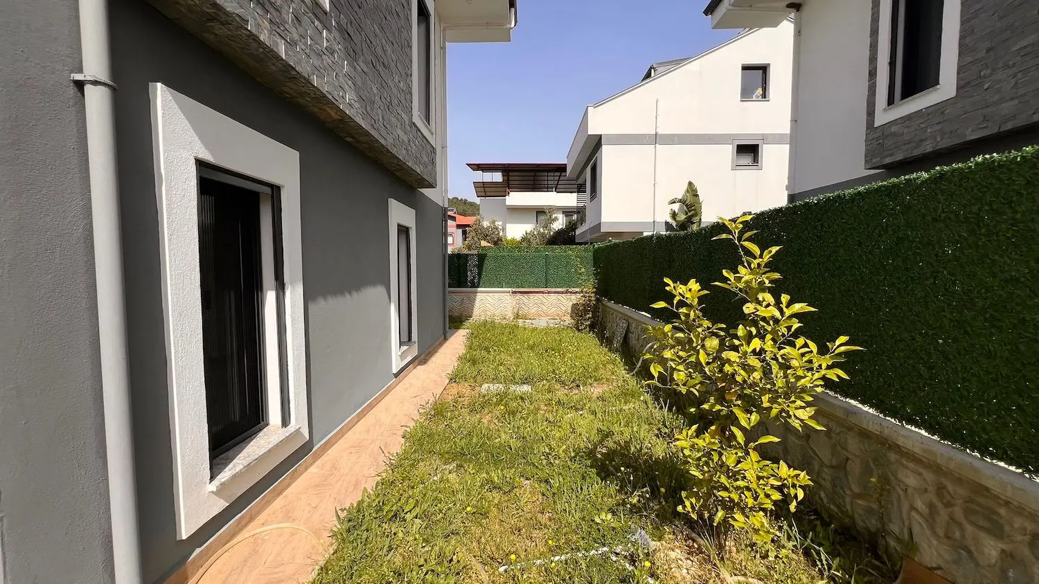 Mature garden